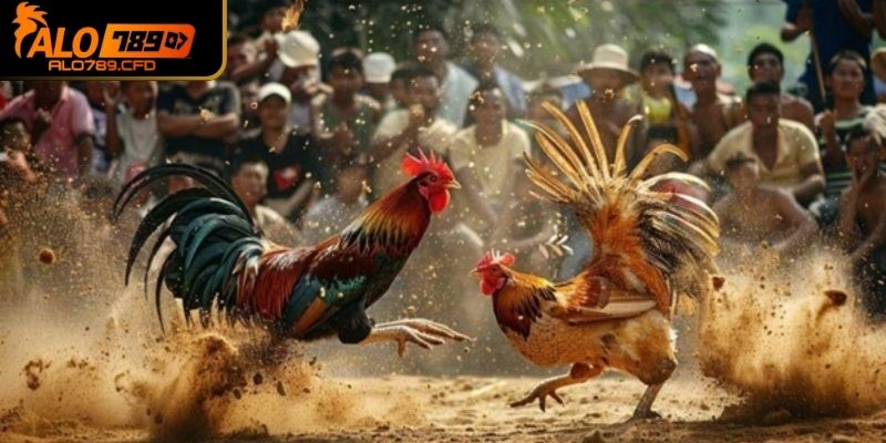Khả năng tấn công đối thủ của nó