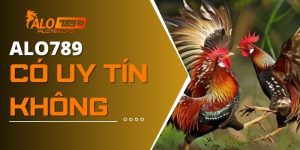 [Giải Đáp] ALO789 Có Uy Tín Không? Nguyên Nhân Tin Đồn