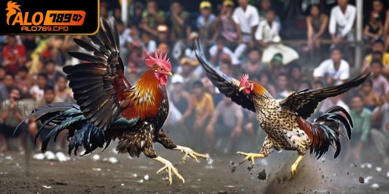 Câu hỏi đang được mọi người chú ý hiện nay