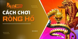 Cách Chơi Rồng Hổ Chi Tiết, Hiệu Quả Cho Người Mới Bắt Đầu