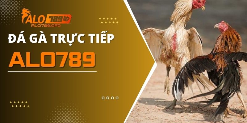 Đá Gà Trực Tiếp Và Kinh Nghiệm Chọn Kèo Siêu Chuẩn