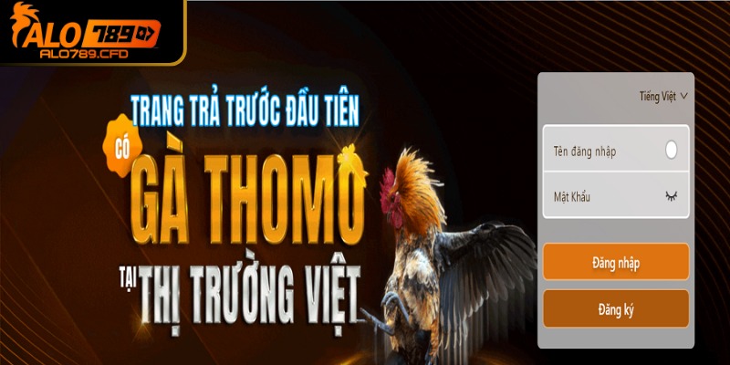 Khám phá nhà cái có lừa đảo hay không?