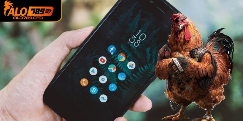 Thao tác tải ứng dụng trên HĐH Android